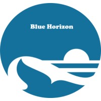 Blue Horizon logo, Blue Horizon contact details