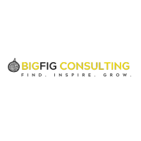 BigFIG Consulting logo, BigFIG Consulting contact details