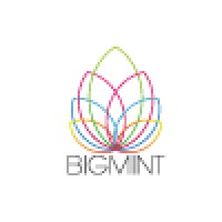 bigmint logo, bigmint contact details