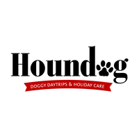 Houndog Daycare & Dog Minding logo, Houndog Daycare & Dog Minding contact details