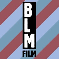 BLMFILM GMBH logo, BLMFILM GMBH contact details