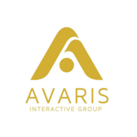 Avaris Interactive Group LLC logo, Avaris Interactive Group LLC contact details