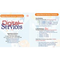 Digital Bench Services logo, Digital Bench Services contact details