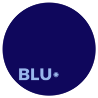 BLU DOT Realty Group logo, BLU DOT Realty Group contact details