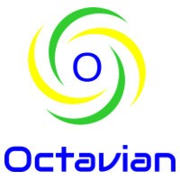 Octavian Holdings Pte Ltd logo, Octavian Holdings Pte Ltd contact details