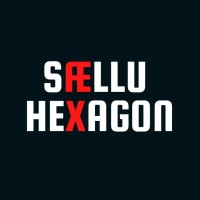 Saellu Hexagon logo, Saellu Hexagon contact details