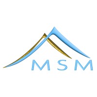 MSM Managing Solutions logo, MSM Managing Solutions contact details