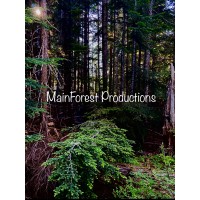 Main-Forest Productions logo, Main-Forest Productions contact details