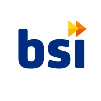 BSI Group of Companies logo, BSI Group of Companies contact details