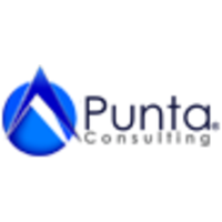 Punta Consulting, LLC logo, Punta Consulting, LLC contact details