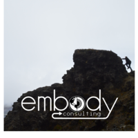 Embody Consulting, LLC logo, Embody Consulting, LLC contact details