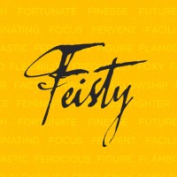 Feisty Creative logo, Feisty Creative contact details