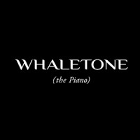 Whaletone Ltd logo, Whaletone Ltd contact details