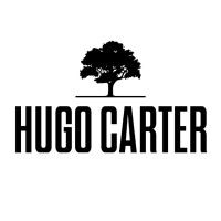 Hugo Carter - Silent Windows logo, Hugo Carter - Silent Windows contact details