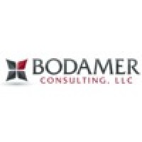 Bodamer Consulting, LLC logo, Bodamer Consulting, LLC contact details