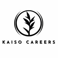 Kaiso Careers logo, Kaiso Careers contact details