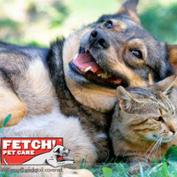 Fetch Pet Care Pittsburgh logo, Fetch Pet Care Pittsburgh contact details