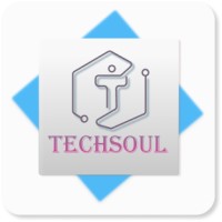 Techsoul IT Services logo, Techsoul IT Services contact details