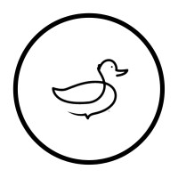 Ducky Brand Apparel logo, Ducky Brand Apparel contact details