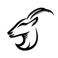 Springbok Capital logo, Springbok Capital contact details