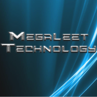 MegaLeet Technology NC SAS logo, MegaLeet Technology NC SAS contact details