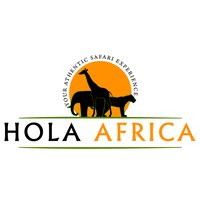 Hola Africa LTD logo, Hola Africa LTD contact details