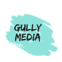 Gully Media logo, Gully Media contact details