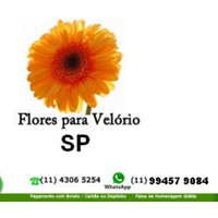 Flores para Velório SP logo, Flores para Velório SP contact details