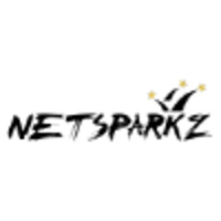 Netsparkz logo, Netsparkz contact details