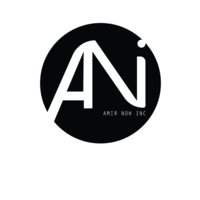 AMIR NOW INC. (ANI) logo, AMIR NOW INC. (ANI) contact details