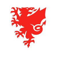 Welsh Football Trust logo, Welsh Football Trust contact details