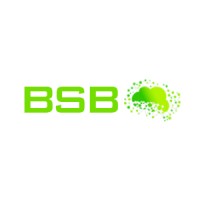 BSB DATA AND INFORMATION PROCESSING SERVICES PRIVATE LIMITED logo, BSB DATA AND INFORMATION PROCESSING SERVICES PRIVATE LIMITED contact details