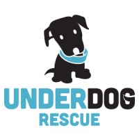 Underdog Rescue MN logo, Underdog Rescue MN contact details