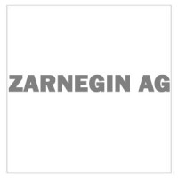 Zarnegin AG logo, Zarnegin AG contact details