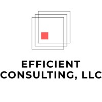 EFFICIENT CONSULTING LLC logo, EFFICIENT CONSULTING LLC contact details