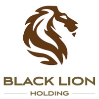 Blacklion Holdings logo, Blacklion Holdings contact details