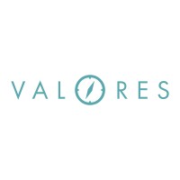 Valores Soluções logo, Valores Soluções contact details