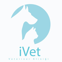 iVet Veteriner Kliniği logo, iVet Veteriner Kliniği contact details