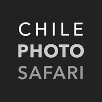 CHILE PHOTO SAFARI logo, CHILE PHOTO SAFARI contact details