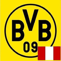 Borussia Dortmund Perú logo, Borussia Dortmund Perú contact details