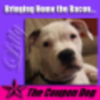 The Coupon Dog logo, The Coupon Dog contact details