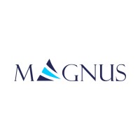 Magnus Soft Technologies LLC logo, Magnus Soft Technologies LLC contact details