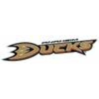 Anaheim Hockey Club logo, Anaheim Hockey Club contact details