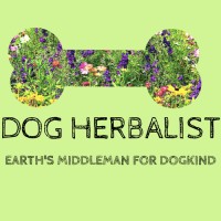 Dog Herbalist logo, Dog Herbalist contact details