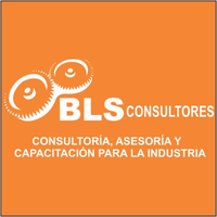 BLS CONSULTORES logo, BLS CONSULTORES contact details