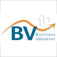 BV Consulting logo, BV Consulting contact details