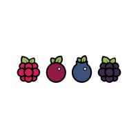 Berrybyte logo, Berrybyte contact details