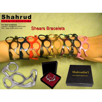 shahrud international logo, shahrud international contact details