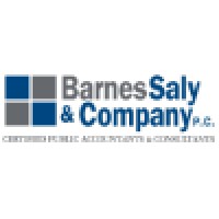 Barnes Saly& Company logo, Barnes Saly& Company contact details