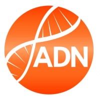 ADNBrokers Consulting logo, ADNBrokers Consulting contact details